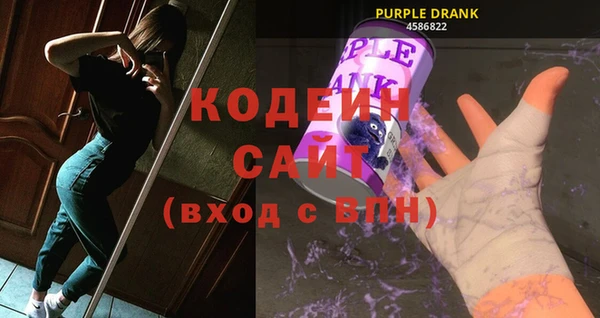 гидра Няндома