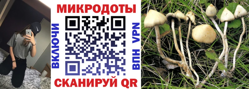 мега зеркало  Алзамай  Псилоцибиновые грибы GOLDEN TEACHER  купить закладку 