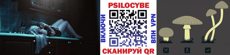 Псилоцибиновые грибы Psilocybine cubensis Алзамай